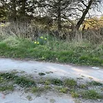 Motel Rovli Skærbæk