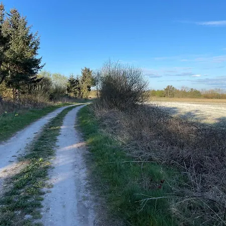 Rovli 汽车旅馆 Skærbæk