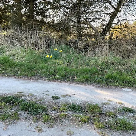 汽车旅馆 Rovli Skærbæk