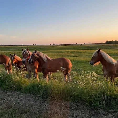 汽车旅馆 Rovli Skærbæk